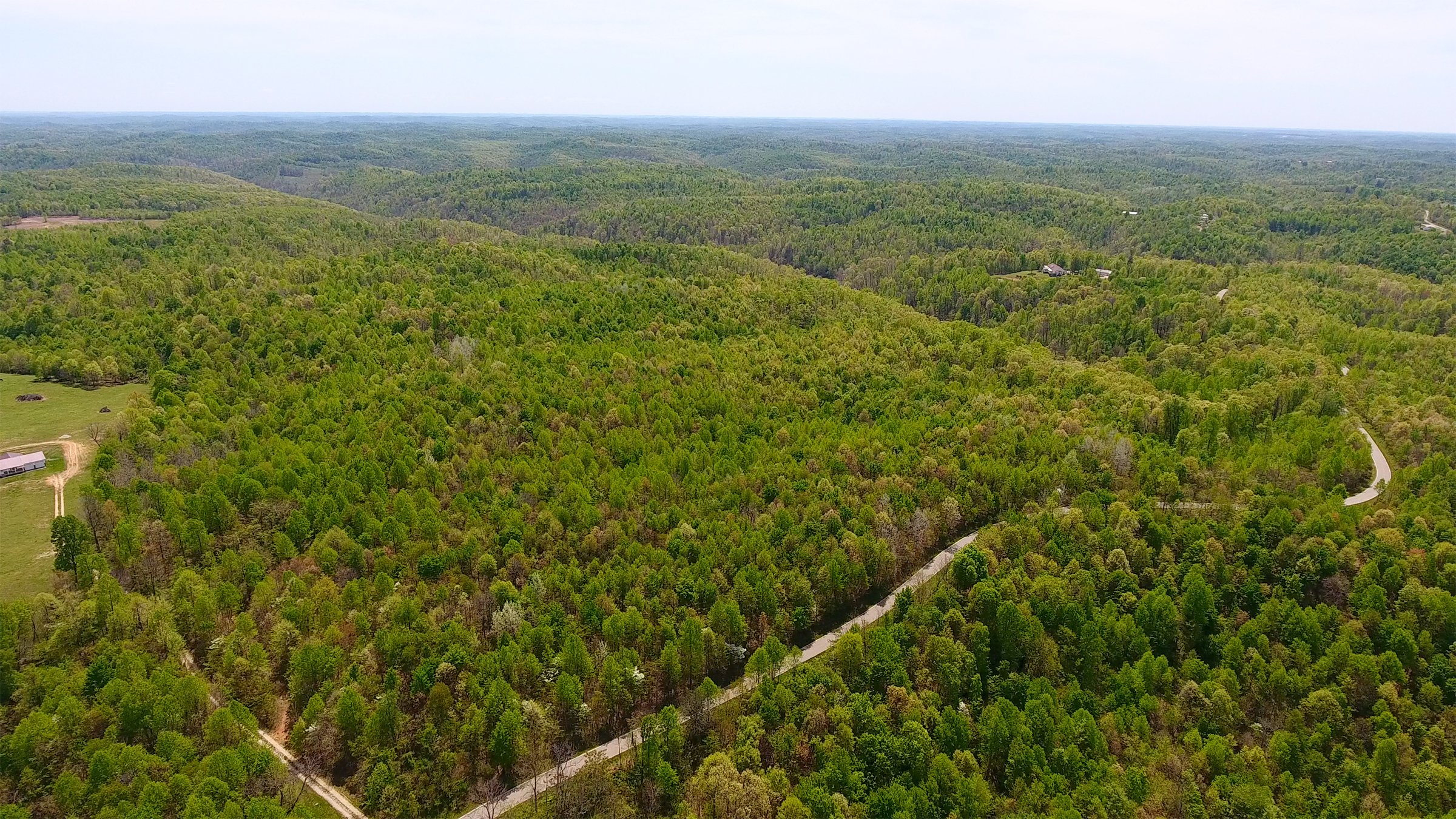 Property photo 6 - LAND AUCTION - 1,682+/- ACRES OFFERED IN 17 TRACTS IN LEWIS & GREENUP COUNTIES, KENTUCKY